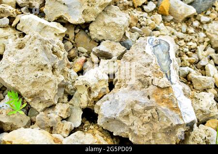 Dolomite en pierre naturelle dans le calcaire à ciel ouvert. Matériaux de construction, fond de mur, texture Banque D'Images