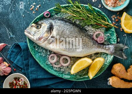 dorado cru poisson frais ou dorade de mer avec des ingrédients pour faire citron, thym, ail, tomate cerise et sel sur glace sur une ardoise noire, pierre ou béton Banque D'Images