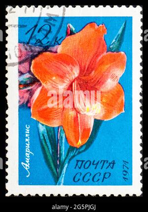 RUSSIE, URSS - VERS 1971: Timbre-poste de l'URSS montrant des fleurs Amaryllis Banque D'Images
