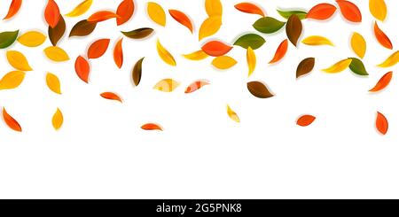 Chute des feuilles d'automne. Rouge, jaune, vert, marron n Illustration de Vecteur