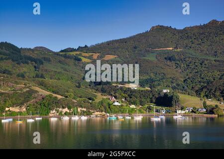 Jolie côte de coteaux couverts d'arbres avec des maisons et des bateaux juste au large de la rive se reflètent dans la mer près du port d'Otago, île du Sud, Nouvelle-Zélande Banque D'Images