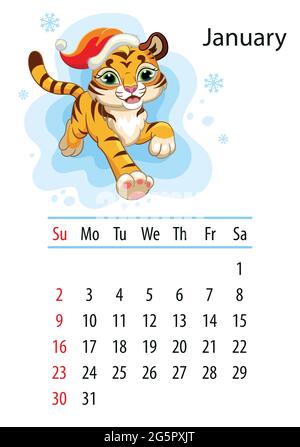 Modèle de conception de calendrier mural pour janvier 2022, année du tigre selon le calendrier chinois ou oriental. Caractère animal. Illustration vectorielle. Semaine Illustration de Vecteur