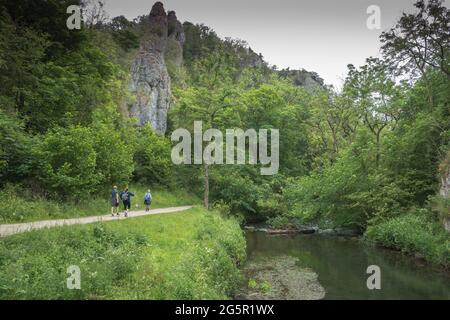 Les visiteurs se promenant le long du sentier Dovedale sur le côté de la rivière Dove, Peak District, Angleterre. Banque D'Images