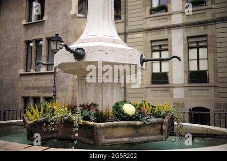 Fontaine en face de l'hôtel les Armures, Genève, Suisse Banque D'Images