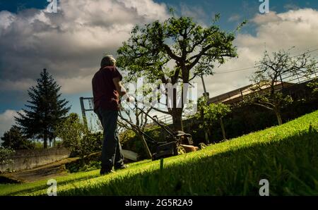 homme de 50-55 ans qui tond la pelouse dans le jardin Banque D'Images