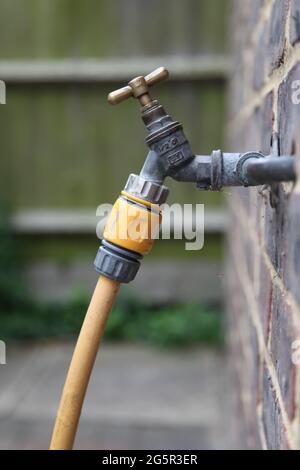 Ancien style de robinet d'eau extérieur sur mur en brique avec fixation de tuyau de hozelock et tuyau d'arrosage au jardin d'eau, été 2021 Banque D'Images