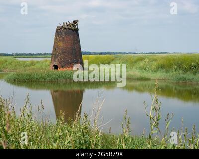 Canaux et marais de drainage de Norfolk Banque D'Images