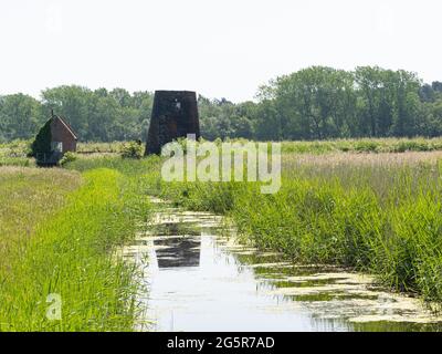 Canaux et marais de drainage de Norfolk Banque D'Images