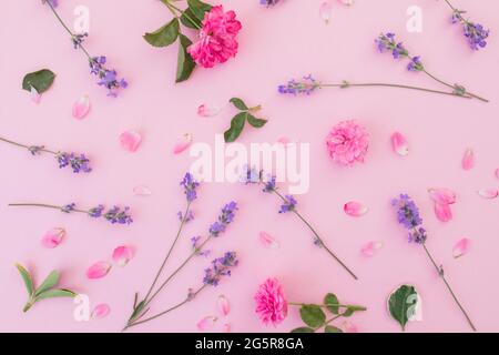 Motif floral fait de roses roses roses et de fleurs de lavande isolées sur fond rose. Flat Lay, vue de dessus Banque D'Images