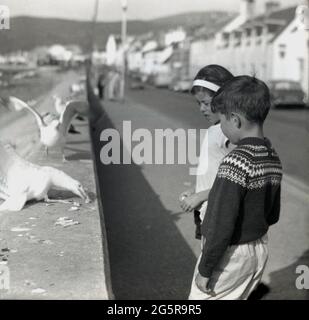 Dans les années 1950, historiques, estivales et à l'extérieur de la côte, deux jeunes enfants se tiennent près d'un mur au bord de la route, regardant un mouette ou un mouette mangeant quelques morceaux de nourriture, Highlands écossais, Écosse, Royaume-Uni. Banque D'Images