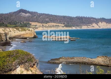 ANO Nuevo est un parc d'État de Californie sur la côte de la Californie qui est célèbre pour sa réserve de phoques d'éléphant. Banque D'Images