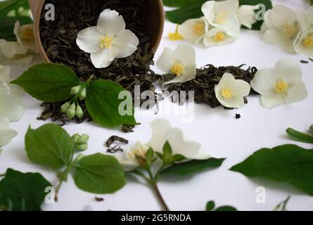 Thé de feuilles avec jasmin dans un carton rond sur fond blanc. Concept zéro déchet Banque D'Images