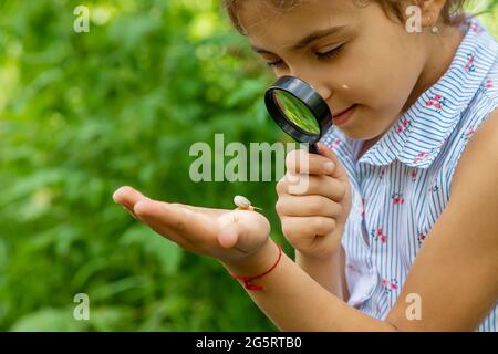 L'enfant regarde l'escargot à travers une loupe. Mise au point sélective. Nature. Banque D'Images