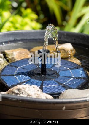 Petite fontaine solaire dans un bain d'oiseau de jardin improvisé avec des pavés pour fournir des perches pour boire et se baigner Banque D'Images