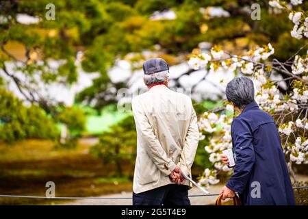 Kyoto, Japon - 17 avril 2019 : rue de la ville à Kyoto gyoen Palais impérial avec couple senior candide personnes au printemps regardant les fleurs arbres sur le groun Banque D'Images