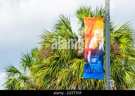 Gainesville, États-Unis - 27 avril 2018 : bannière de signe sur le campus de l'Université de Floride de l'Université de la FU dans l'État central avec des palmiers bordant la route de rue Banque D'Images