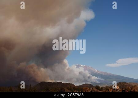 Oakland, États-Unis. 28 juin 2021. Le feu de Lava, près du mont Shasta et du lac Shastina dans le comté de Siskiyou, a triplé en taille pendant la nuit et a brûlé 13,300 acres le lundi 28 juin 2021 à Oakland, en Californie (photo de Paul Kuroda/Sipa USA) crédit: SIPA USA/Alay Live News Banque D'Images