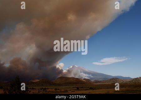 Oakland, États-Unis. 28 juin 2021. Le feu de Lava, près du mont Shasta et du lac Shastina dans le comté de Siskiyou, a triplé en taille pendant la nuit et a brûlé 13,300 acres le lundi 28 juin 2021 à Oakland, en Californie (photo de Paul Kuroda/Sipa USA) crédit: SIPA USA/Alay Live News Banque D'Images