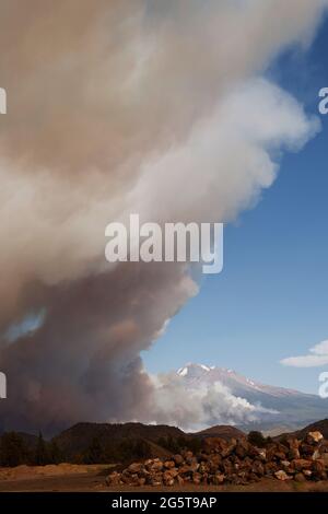 Oakland, États-Unis. 28 juin 2021. Le feu de Lava, près du mont Shasta et du lac Shastina dans le comté de Siskiyou, a triplé en taille pendant la nuit et a brûlé 13,300 acres le lundi 28 juin 2021 à Oakland, en Californie (photo de Paul Kuroda/Sipa USA) crédit: SIPA USA/Alay Live News Banque D'Images