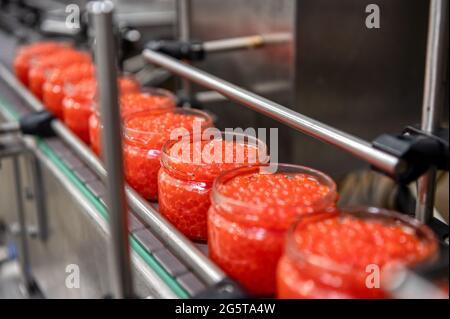 Pots en verre remplis au sommet de caviar rouge. Les rangées se trouvent sur le tapis du convoyeur Banque D'Images