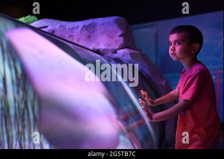 East Rutherford, États-Unis. 29 juin 2021. Kamran, 5 ans, regarde comme une pigeonnette se balader au Sea Life Aquarium de l'American Dream Entertainment Mall, une partie du Meadowlands Sports Complex, à Rutherford, NJ, le 29 juin 2021. L'aquarium Sea Life et le Lego Center sont adjacents. (Photo par Anthony Behar/Sipa USA) crédit: SIPA USA/Alay Live News Banque D'Images