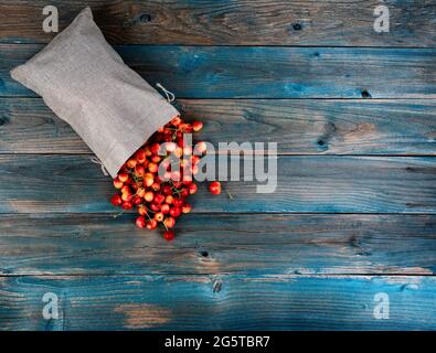 Les cerises rainier fraîchement cueillies se répandent dans un sac de toile sur une table en bois d'époque bleue en forme de couche plate Banque D'Images