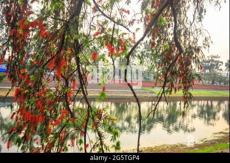 Une journée dans une vie de perspective bangladaise, odoor photo Banque D'Images