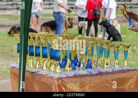 Trophées de sport d'or devant des personnes avec leurs animaux de compagnie. Un groupe de prix pour l'attribution des gagnants est sur la table. Championnat, compétition Banque D'Images