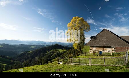 Aussicht auf das Emmental von der Lüderenalp aus in der Gem. Langnau im Emmental am 11.10.19. Foto: Markus Bolliger Banque D'Images