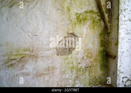 Mur de pierre moldy à travers les murs humides structure photographiée à la lumière du jour Banque D'Images