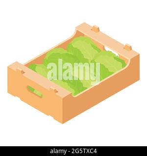 Chou en caisse de marché en bois isolée sur fond blanc, vue isométrique. Vecteur Illustration de Vecteur