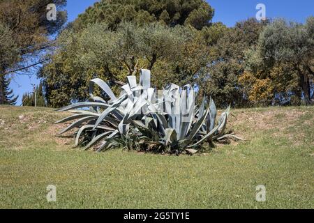 Agave americana (plante de sentry, plante de siècle, maguey ou aloe américain) en Catalogne, Espagne Banque D'Images