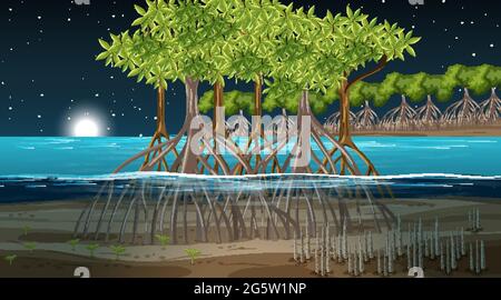 Scène de paysage de la forêt de mangroves à l'illustration de nuit Illustration de Vecteur