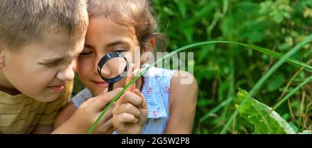 L'enfant regarde l'escargot à travers une loupe. Mise au point sélective. Nature. Banque D'Images