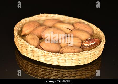 Plusieurs noix de pécan non pelées dans un bol de paille, en gros plan, isolées sur du noir. Banque D'Images