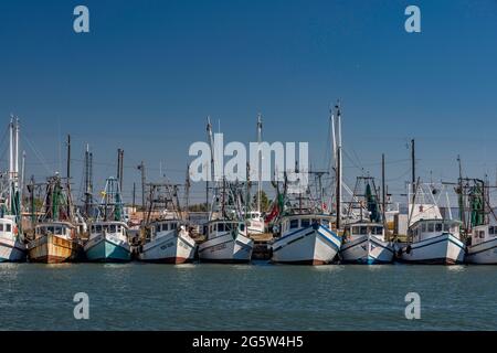 Bateaux à crevettes au port de Palacios, Texas, États-Unis Banque D'Images