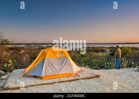 Campeur regardant le réservoir Amistad au lever du soleil, terrain de camping Governors Landing, près de Del Rio, Texas, États-Unis Banque D'Images