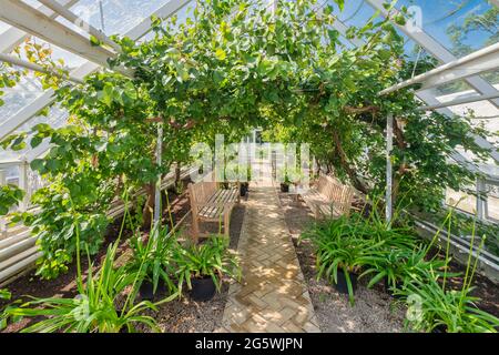 Jardin potager au château royal des reines danoises à Graasten, Danemark Banque D'Images