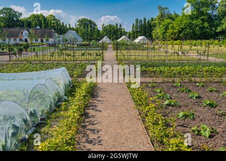 Jardin potager au château royal des reines danoises à Graasten, Danemark Banque D'Images