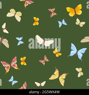 Motif sans couture. Gros plan sur les papillons de prairie. Magnifique. Style de dessin animé. Conception plate. Illustration vectorielle. Art Illustration de Vecteur