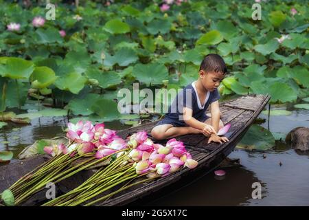 Un garçon vietnamien jouant avec la feuille de lotus rose lorsque sa mère fait du bateau traditionnel en bois dans le grand lac à thap muoi, province de dong thap, vietnam Banque D'Images