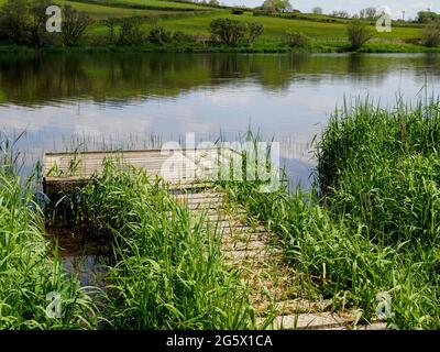 Ancien pont de pêche en bois sur Upper Tamar Lake, Devon, Royaume-Uni Banque D'Images