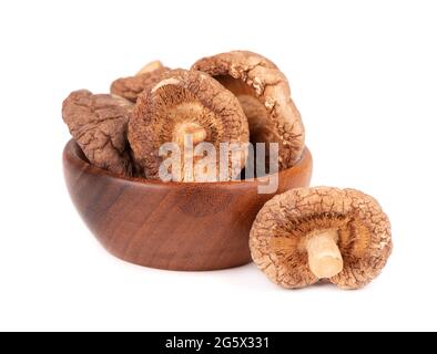 Champignons shiitake séchés dans un bol en bois, isolés sur fond blanc. Champignons de la forêt japonaise. Lentinula edodes. Gros plan. Banque D'Images