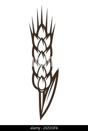 Illustration de l'oreille de blé. Objet en style gravure dessiné à la main. Ancien élément naturel. Illustration de Vecteur