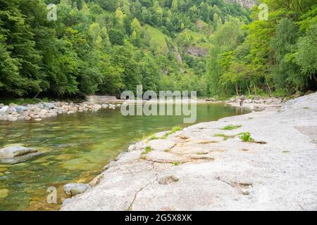 Rivière Serio et arbres merveilleux autour de lui, vallée de la Seriana, Bergame, italie. Banque D'Images