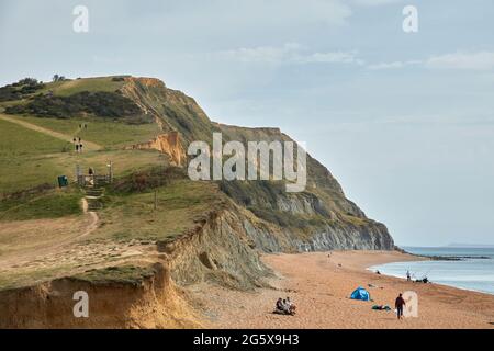 Le sentier de la côte Sud-Ouest à Seatown avec vue sur la plage, le rivage et les falaises de la côte jurassique à Dorset, dans le sud-ouest de l'Angleterre Banque D'Images