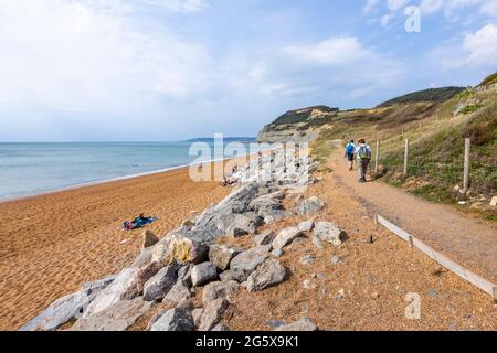 Le sentier de la côte sud-ouest à Seatown avec vue sur le Cap d'or et le rivage et les falaises de la côte jurassique à Dorset, dans le sud-ouest de l'Angleterre Banque D'Images