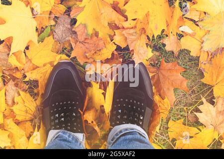 Jambes femelles en bottes sur les feuilles d'automne de l'érable jaune. Pieds chaussures marche dans la nature. Concept d'activités et de promenades automnales. Vue de dessus. Banque D'Images