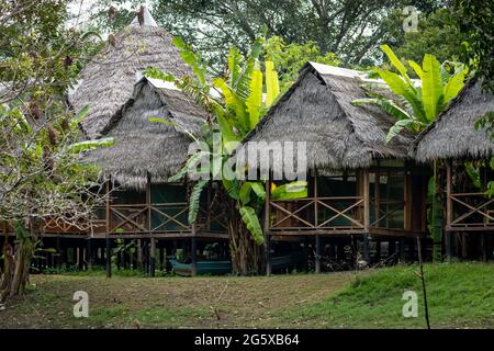 Le luxueux hébergement dans la jungle au Grand Amazon Lodge dans l'Amazonie péruvienne Banque D'Images