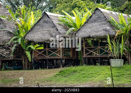 Le luxueux hébergement dans la jungle au Grand Amazon Lodge dans l'Amazonie péruvienne Banque D'Images